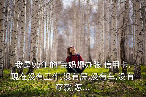 我是95年的 宝妈想办张 信用卡,现在没有工作,没有房,没有车,没有存款,怎...