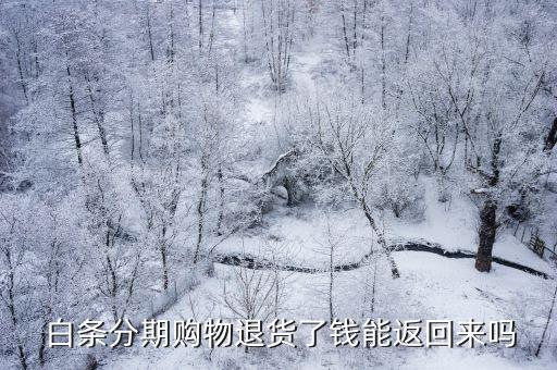 白条 退款 信用卡还款吗,京东白条能用信用卡还款么