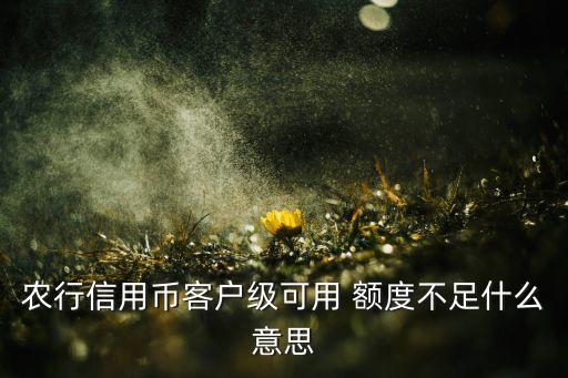 农行信用币客户级可用 额度不足什么意思
