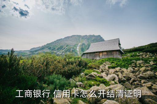 怎么编制信用卡还款凭证,信用卡还款可以作为消费凭证吗