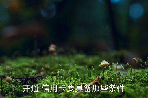 开通 信用卡要具备那些条件
