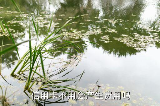  信用卡不用会产生费用吗