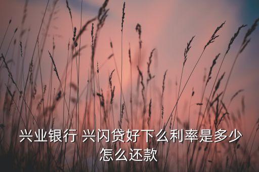 兴业信用卡兴闪贷额度