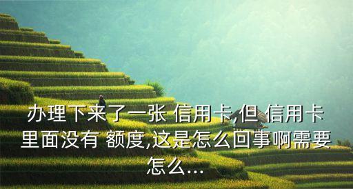 信用卡没有额度怎么有免费