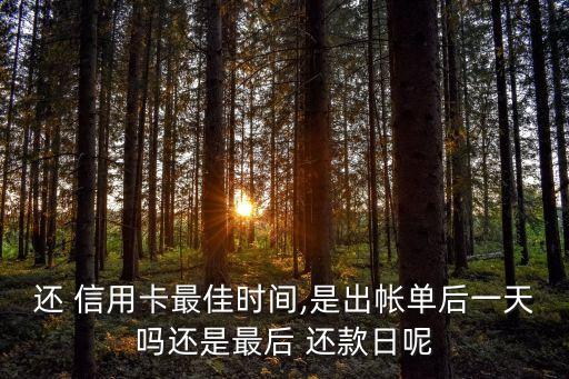 还 信用卡最佳时间,是出帐单后一天吗还是最后 还款日呢