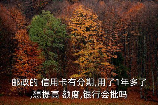 邮政的 信用卡有分期,用了1年多了,想提高 额度,银行会批吗