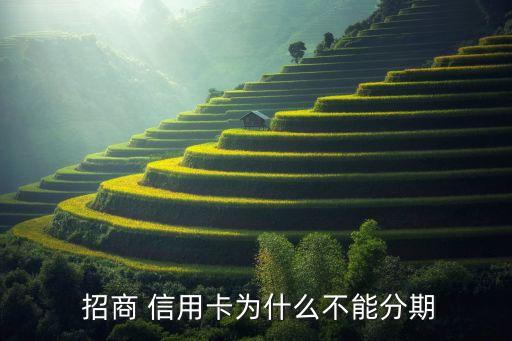  招商 信用卡为什么不能分期