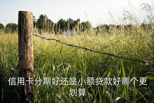  信用卡分期好还是小额贷款好哪个更 划算