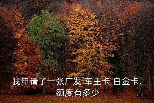 我申请了一张广发 车主卡 白金卡, 额度有多少