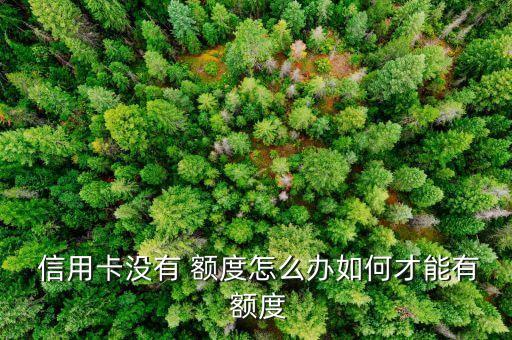  信用卡没有 额度怎么办如何才能有 额度