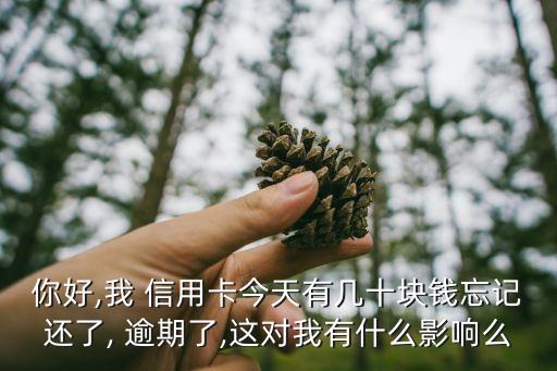 你好,我 信用卡今天有几十块钱忘记还了, 逾期了,这对我有什么影响么