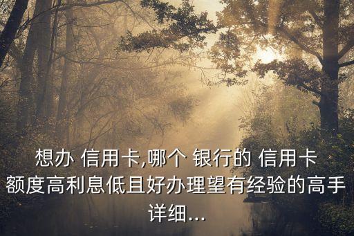 想办 信用卡,哪个 银行的 信用卡额度高利息低且好办理望有经验的高手详细...