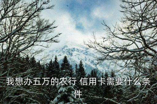我想办五万的农行 信用卡需要什么条件