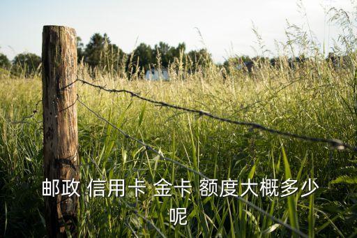  邮政 信用卡 金卡 额度大概多少呢