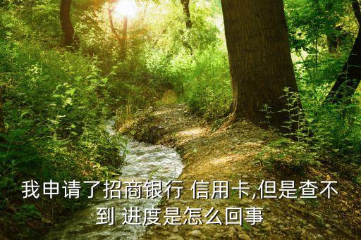 我申请了招商银行 信用卡,但是查不到 进度是怎么回事