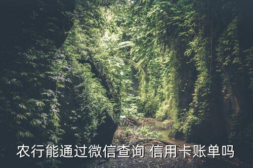 农行能通过微信查询 信用卡账单吗