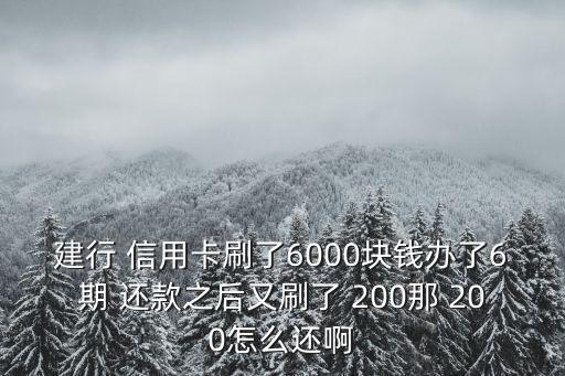建行 信用卡刷了6000块钱办了6期 还款之后又刷了 200那 200怎么还啊