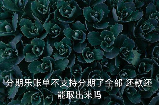 分期乐账单不支持分期了全部 还款还能取出来吗