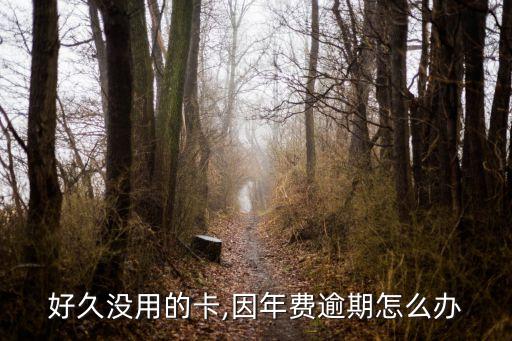 好久没用的卡,因年费逾期怎么办