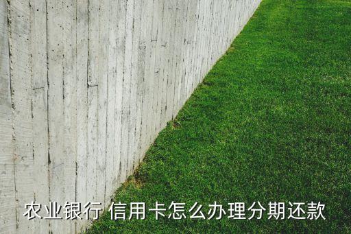 农业银行 信用卡怎么办理分期还款