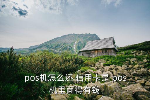 信用卡刷pos机还款怎么用,用pos机套现信用卡按时还款犯法吗