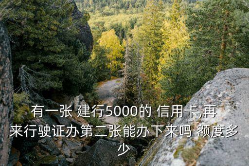 有一张 建行5000的 信用卡,再来行驶证办第二张能办下来吗 额度多少