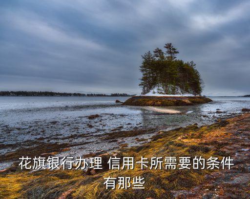 花旗银行办理 信用卡所需要的条件有那些