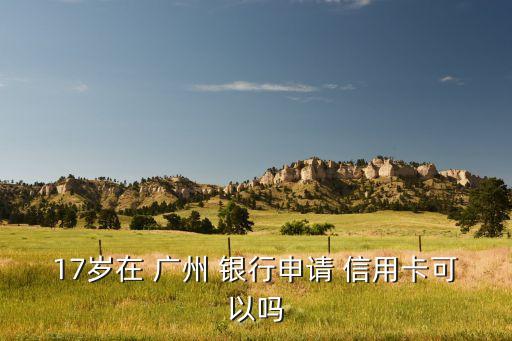 17岁在 广州 银行申请 信用卡可以吗