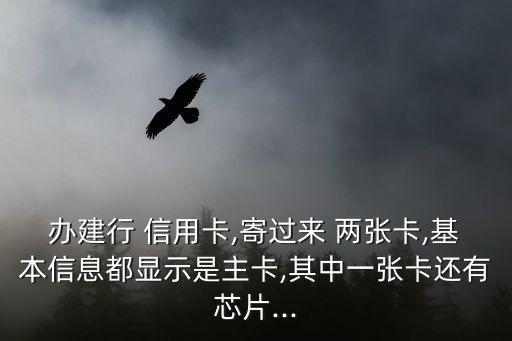 办建行 信用卡,寄过来 两张卡,基本信息都显示是主卡,其中一张卡还有芯片...