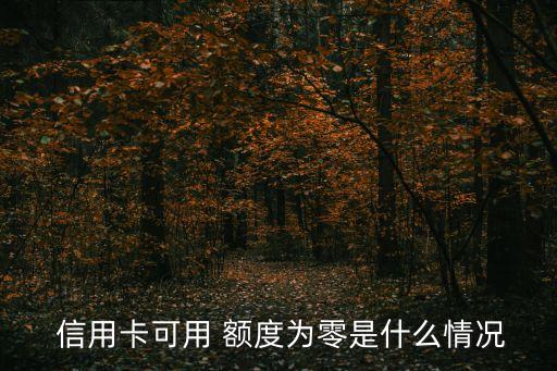 信用卡可用 额度为零是什么情况