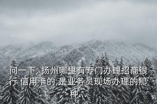 问一下, 扬州哪里有专门办理招商银行 信用卡的,是业务员现场办理的那种...