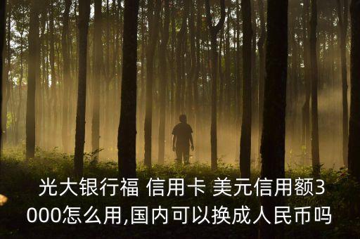 光大银行信用卡有美元存款
