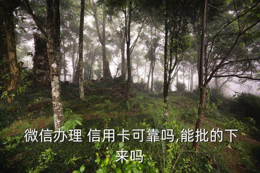  微信办理 信用卡可靠吗,能批的下来吗