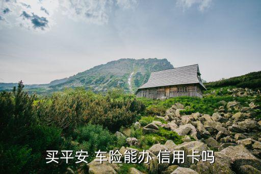 买平安 车险能办 信用卡吗