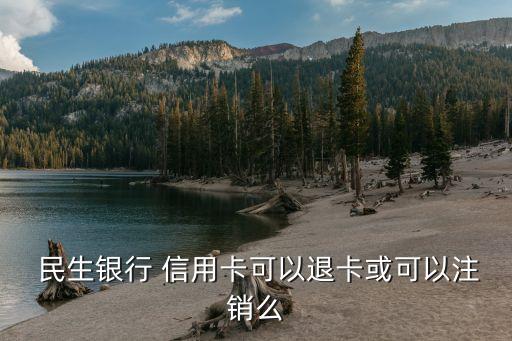  民生银行 信用卡可以退卡或可以注销么