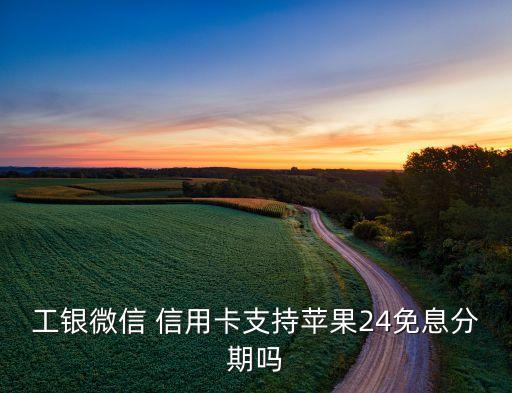 工银微信 信用卡支持苹果24免息分期吗