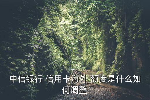 加拿大查信用卡额度吗,信用卡注销了为什么还能查到额度