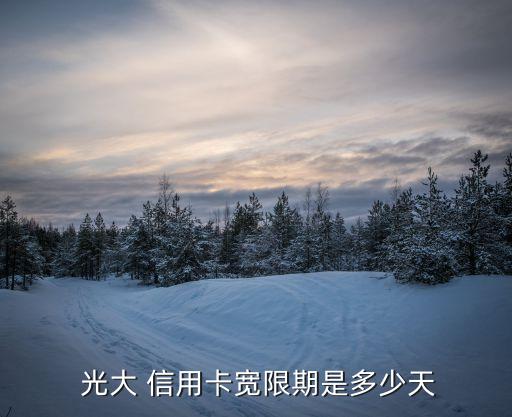 光大信用卡自动还款时间