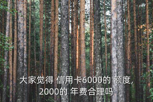 信用卡额度高和年费