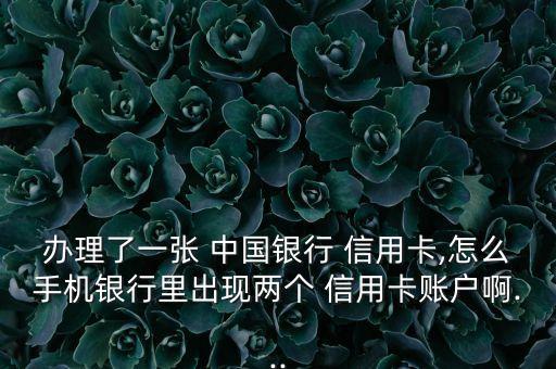 办理了一张 中国银行 信用卡,怎么手机银行里出现两个 信用卡账户啊...