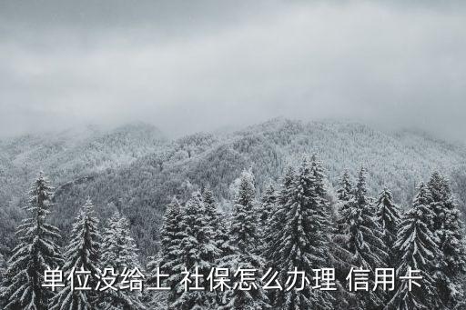 学生社保逾期怎么办信用卡,信用卡逾期会通过社保找到单位来吗