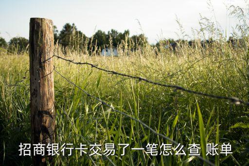  招商银行卡交易了一笔怎么查 账单