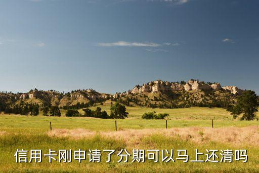 办理信用卡能还款嘛现在,这个月办理信用卡分期可以不用还款吗