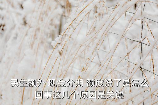民生额外 现金分期 额度没了是怎么回事这几个原因是关键