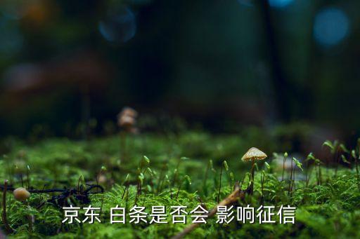 京东 白条是否会 影响征信