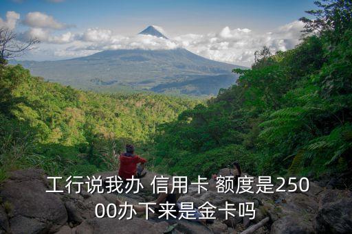 工行信用卡额度2万起批