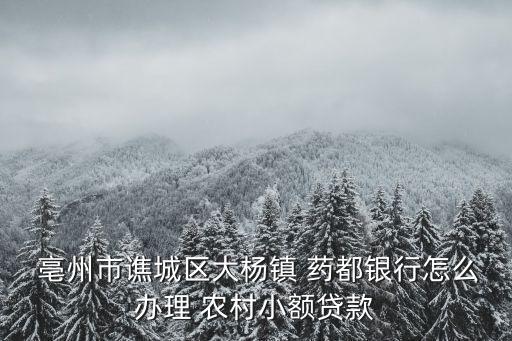  亳州市谯城区大杨镇 药都银行怎么办理 农村小额贷款