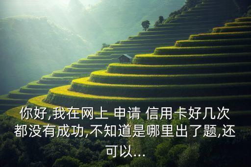 你好,我在网上 申请 信用卡好几次都没有成功,不知道是哪里出了题,还可以...