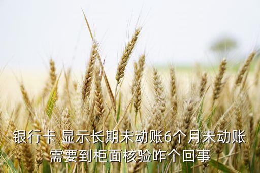 光大银行信用卡显示未入账