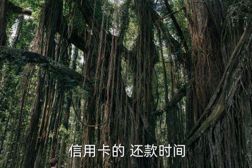  信用卡的 还款时间